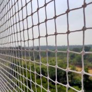 Varahi Gallery Image 3